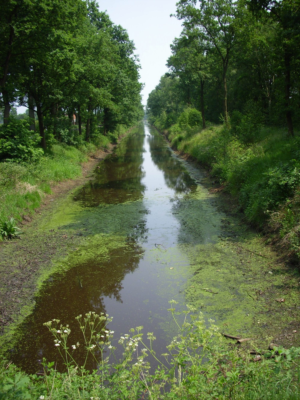 Tourismus in Ostrhauderfehn. Das Westermoor in Bildern. Fotos vom